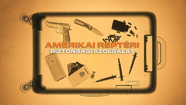 Airport Security: USA backdrop 2