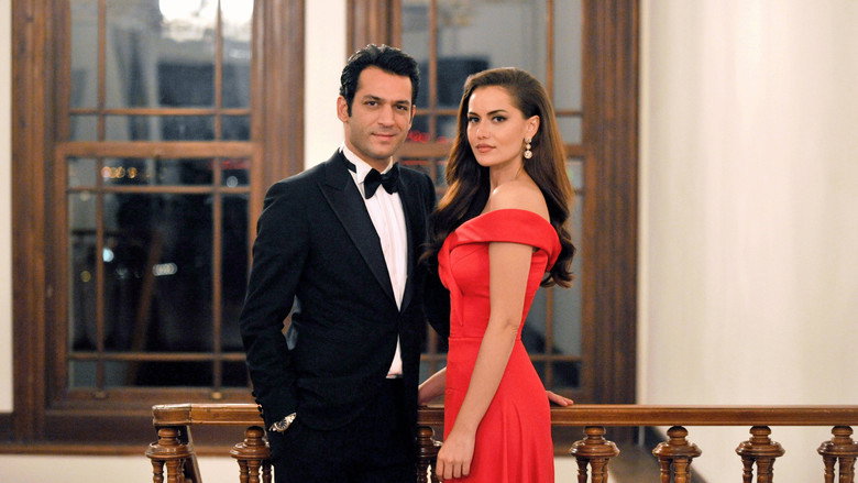 Endless Love backdrop 7