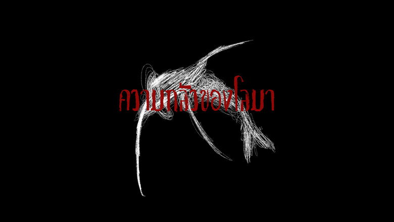 Fear of dolphins backdrop 4