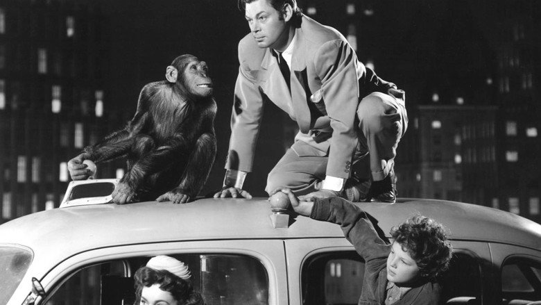 Tarzan's New York Adventure backdrop 6