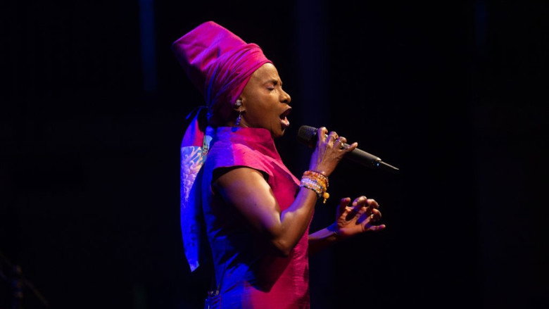 Angélique Kidjo : 40 ans de carrière backdrop 9