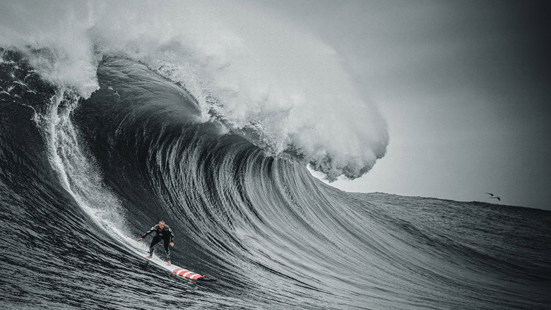 100 Foot Wave backdrop 2