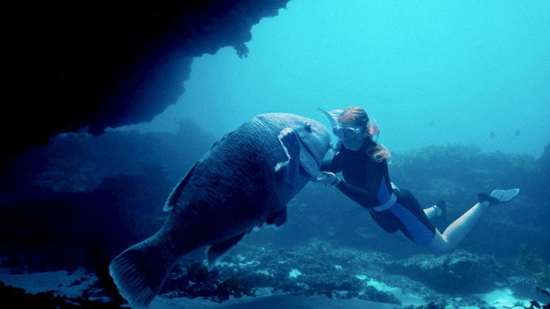 Blueback backdrop 2