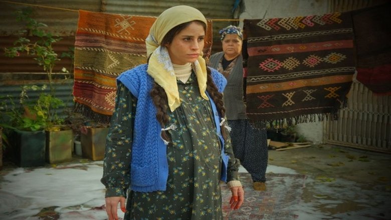 Serhan Şahin