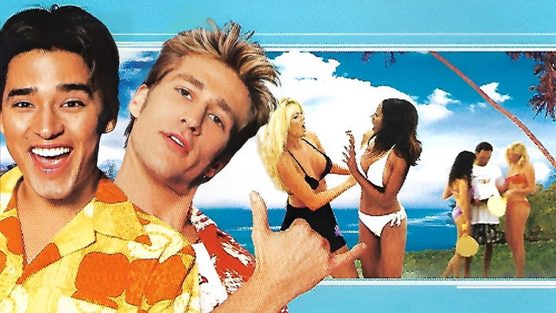 Board Heads backdrop 4