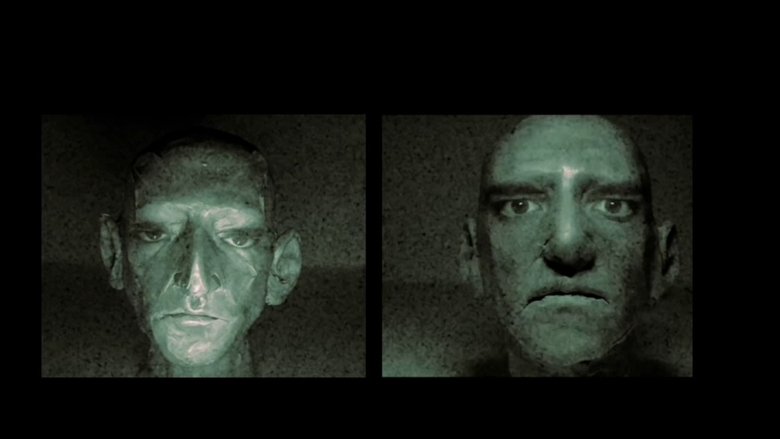 The Observer's Testimony