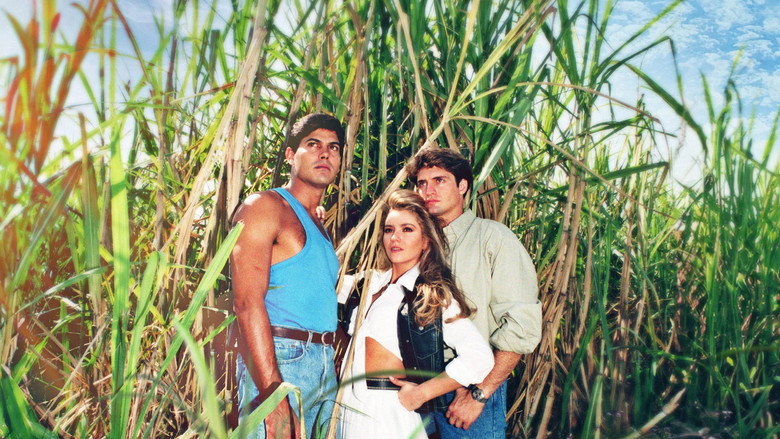 Cañaveral de Pasiones backdrop 4