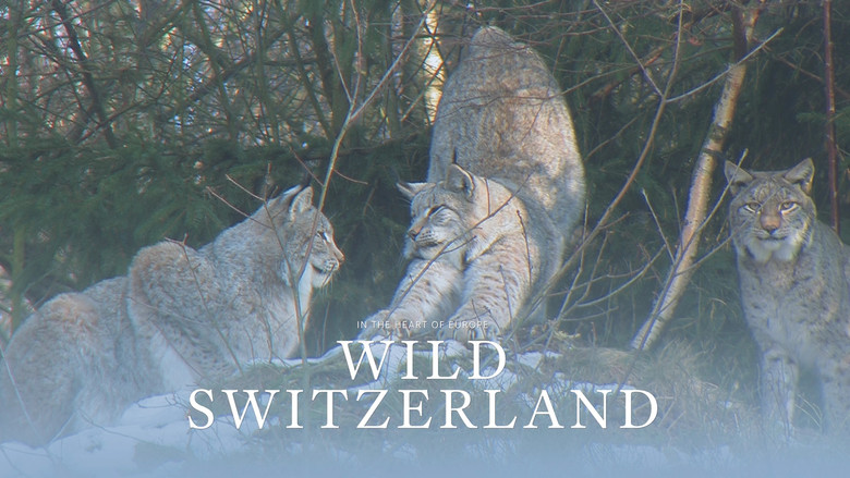 /xs9KMDyHAzIIEXvQ2WxlT8mzAQC.jpg
