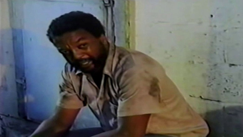 Angel City backdrop 3