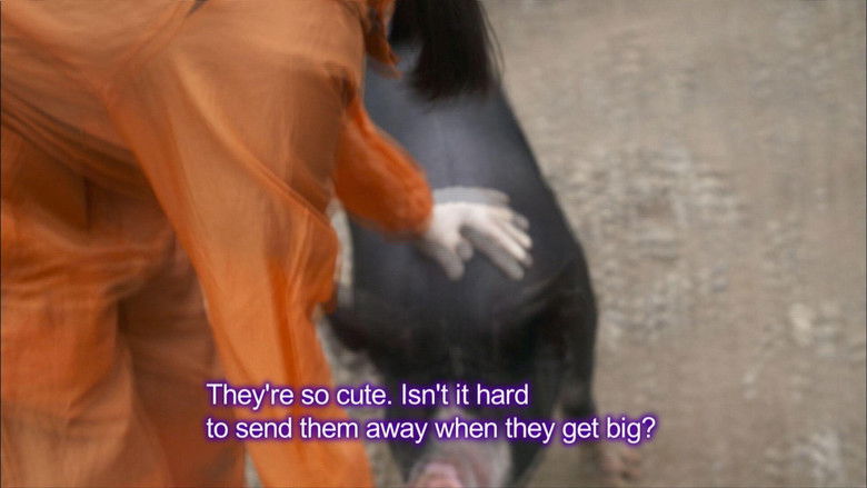 Cycle Around Japan - Hokkaido: Boundless Horizons