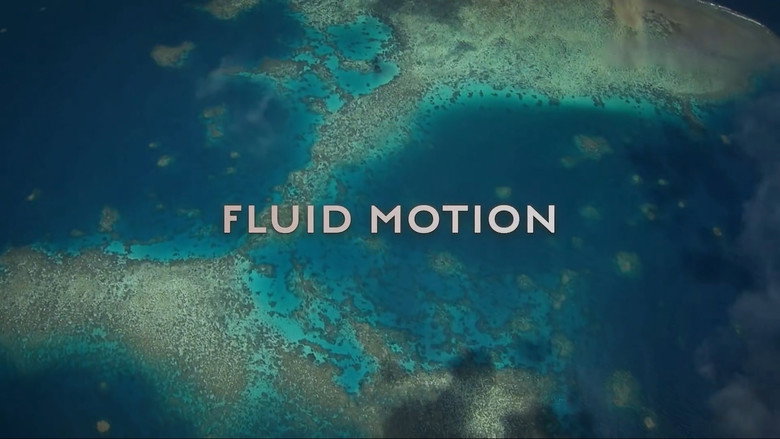 Fluid Motion