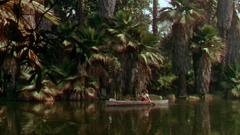 Seminole backdrop 8