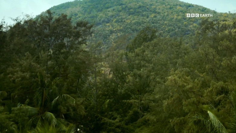 A Forgotten And Rarely Seen Wilderness