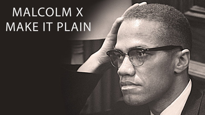Malcolm X: Make It Plain backdrop 1