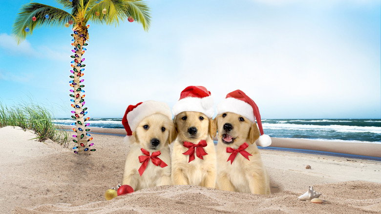 3 Holiday Tails backdrop 4