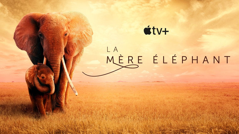 The Elephant Queen backdrop 5
