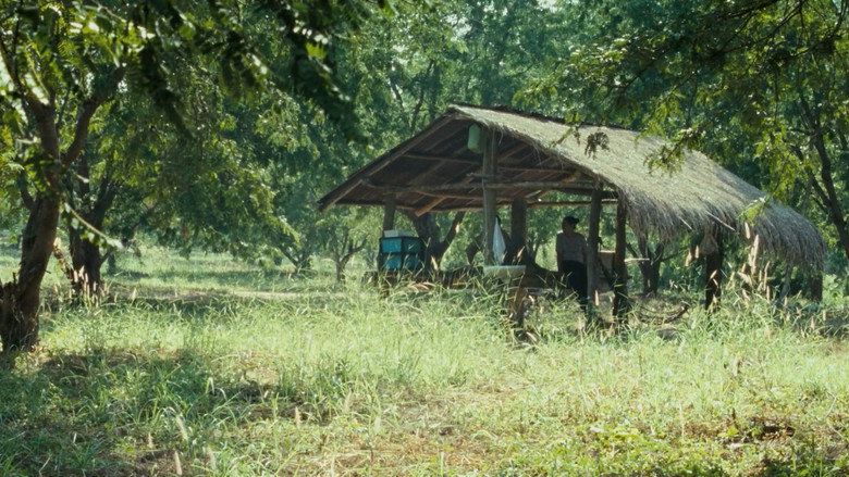 Uncle Boonmee Who Can Recall His Past Lives backdrop 9