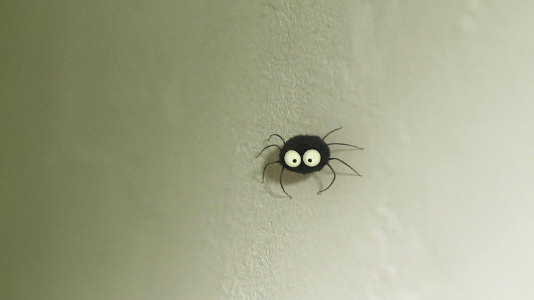 The stubborn spider