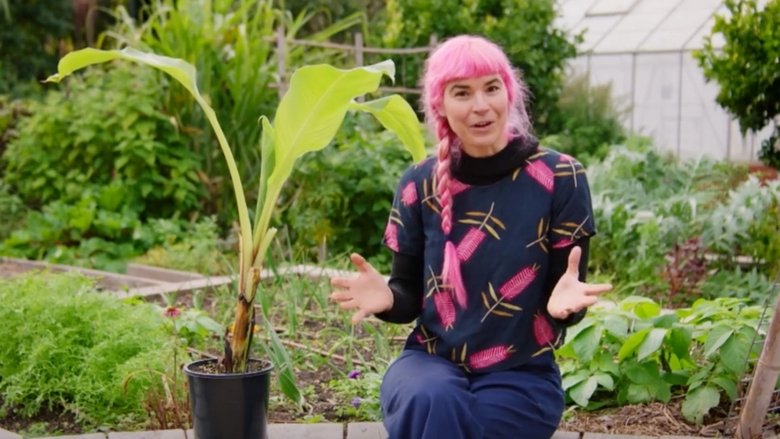 Episode 22 Winter: Habitat Gardens & Plastic Free July