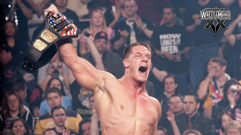 WWE WrestleMania XX backdrop 4