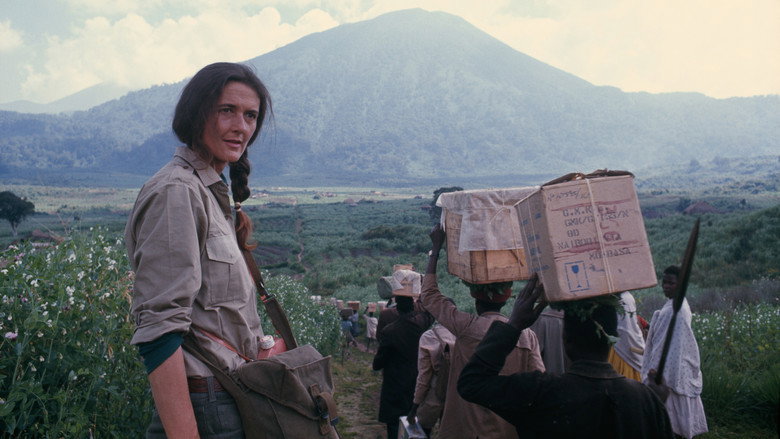 Dian Fossey: Secrets in the Mist backdrop 3
