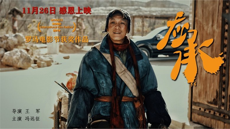 Yu Feifei