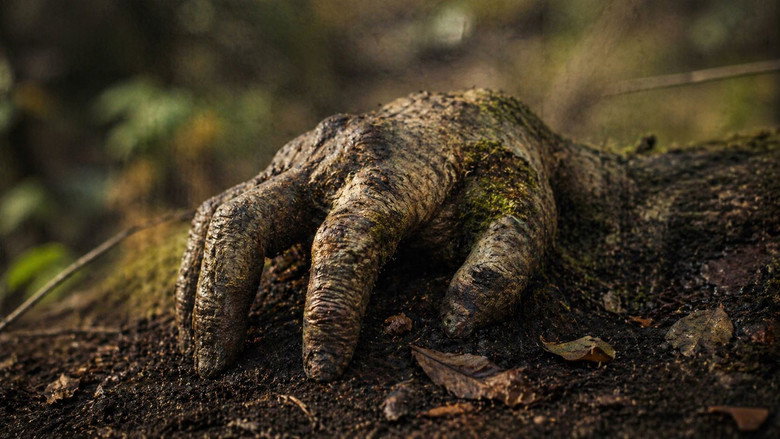 The Hand backdrop 2