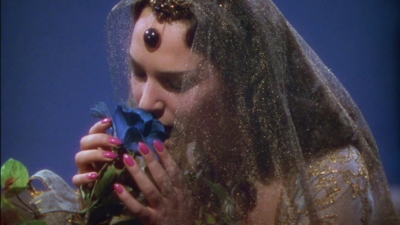 The Thief of Bagdad backdrop 9
