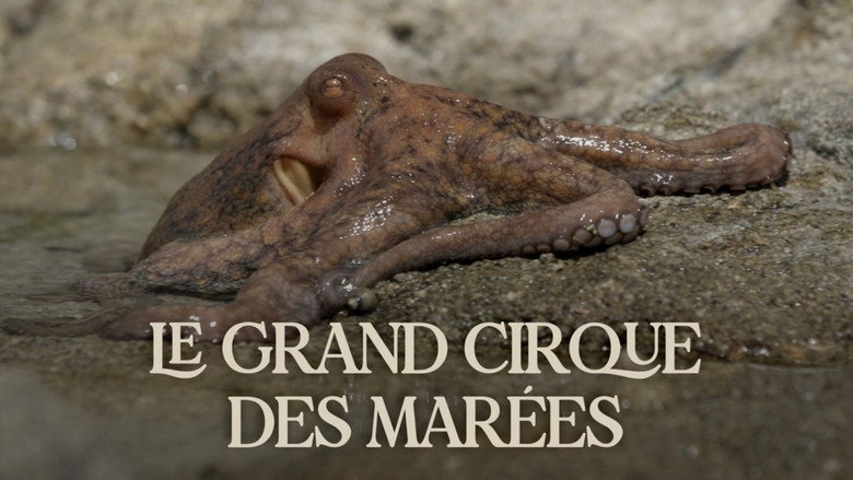 Le grand cirque des marées backdrop 9