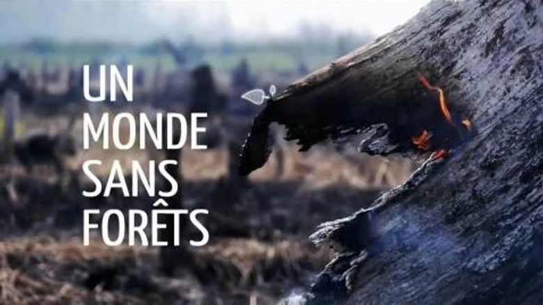 A world without... forests