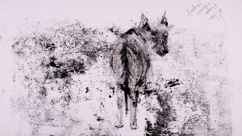 decay