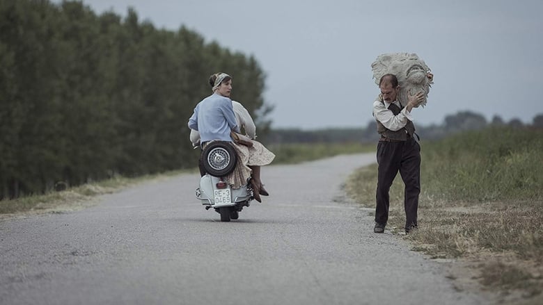 我想藏起来(2020)下载鸭子HD~BT/BD/AMC/IMAX《我想藏起来.1080p》流媒體完整版高清在線免費