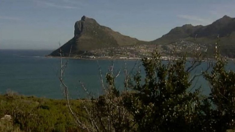Cape Town - Part 1