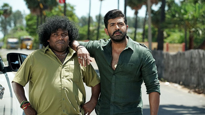 Yaanai backdrop 8