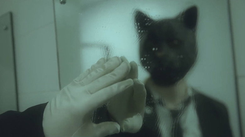 Cat Face backdrop 4