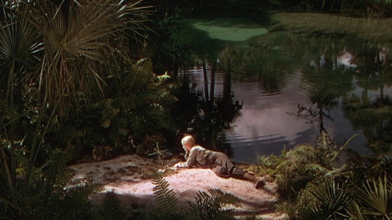 The Yearling backdrop 6