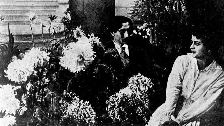 Long Gone are Chrysanthemums in a Garden backdrop 2