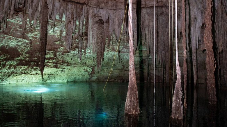 Buried Truth of the Maya backdrop 2