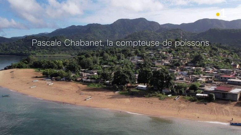 Pascale Chabanet, la compteuse de poissons