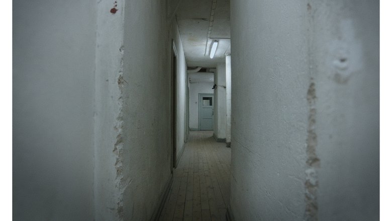Johan Windh