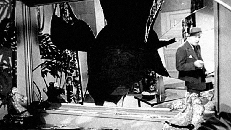 The Blue Gardenia backdrop 3