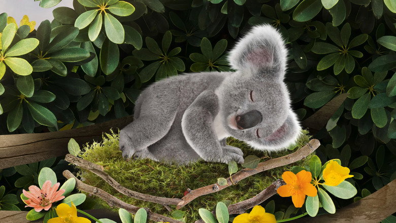 Save the Sleeping Cutie! / Help the Dress-Up Bear!