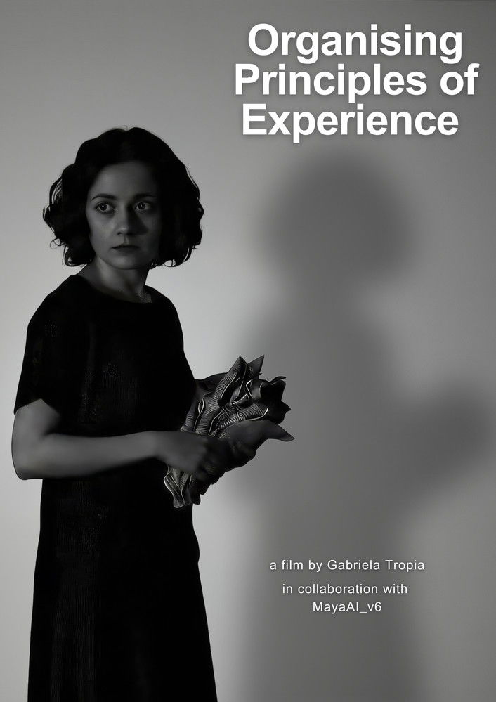 Organising Principles of Experience