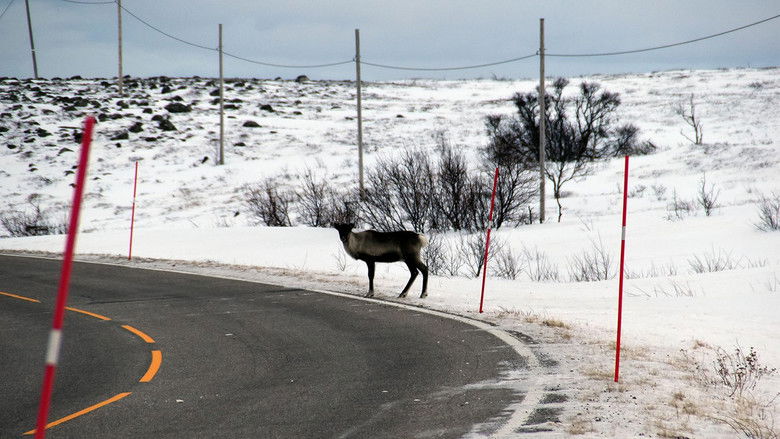 Navigating Norway's Arctic Roads