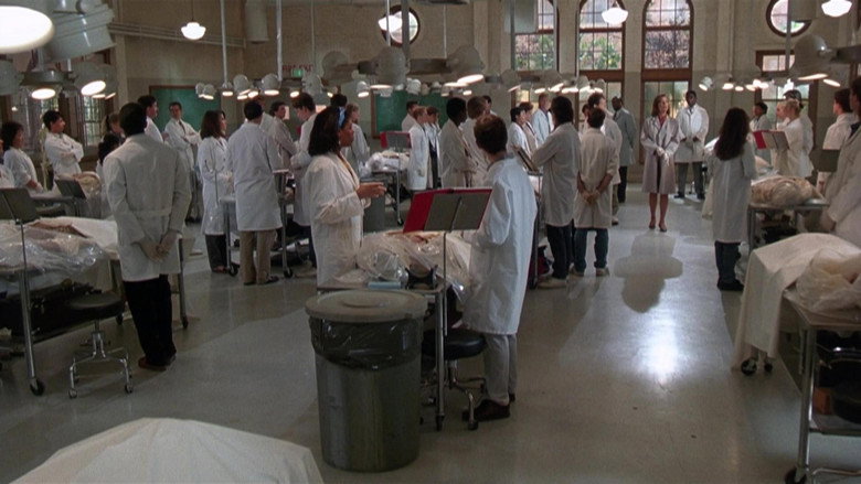 Gross Anatomy backdrop 3