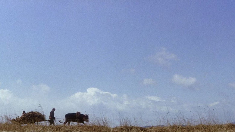 Zatoichi's Revenge backdrop 4