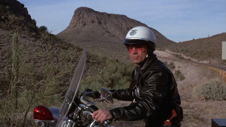Electra Glide in Blue backdrop 7