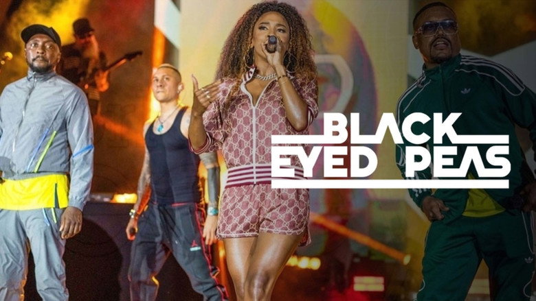 Black Eyed Peas Live at Miami backdrop 5