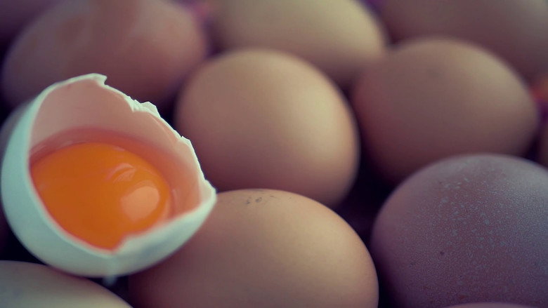 Egg! Egg! A Hardboiled Story backdrop 2