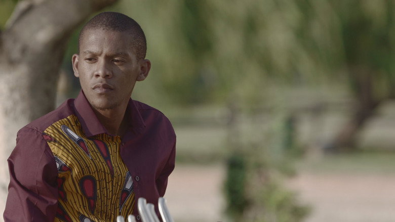 A top the Baobab Tree